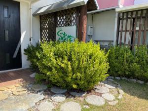 Κήπος έξω από το Kubumuso - Vacation STAY 13722v