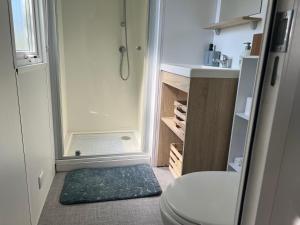 een kleine badkamer met een douche en een toilet bij Chez marius Mobil home 6 personne 3 chambre in Arles