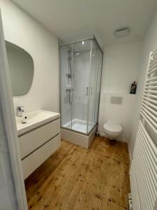 een badkamer met een douche, een wastafel en een toilet bij Petit-Vinave in Malmedy