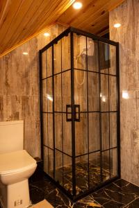 a bathroom with a toilet and a glass shower at KOZLUCA Bungalov in Trabzon