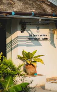 a potted plant sitting on the ledge of a building at Chanthavong Hostel in Luang Prabang