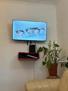 TV/Unterhaltungsangebot in der Unterkunft COZY Rooms in Enfield