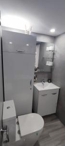 a bathroom with a white toilet and a sink at Olimp Family - Olimp Sea View Apartments in Olimp +21 photos