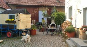 a dog standing in a courtyard with a wooden house at Schäferwagen 1,25x1,90m Gemeinschaftsbad Freies WLAN in Hausbreitenbach