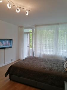 a bedroom with a large bed and a window at Ferienwohnung in Veitshöchheim in Veitshöchheim