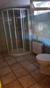 a bathroom with a shower and a toilet at Chambre agréable à proximité de Disneyland Paris JO in Nanteuil-lès-Meaux