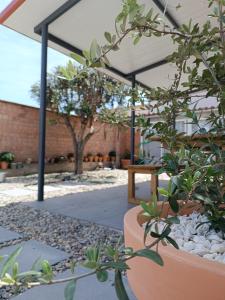 a pavilion with a bench and plants in a garden at L'ocell del Pla in Ivars d'Urgell