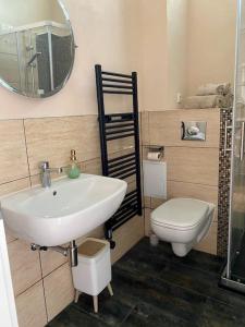 a bathroom with a sink and a toilet at 2-Zimmer Zentral in Ferdinandshof, WLAN Modern in Ferdinandshof