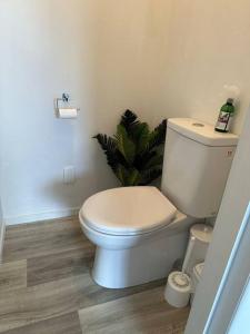 a bathroom with a white toilet and a plant at Nibble Nook Farm Cottage in Okoroire