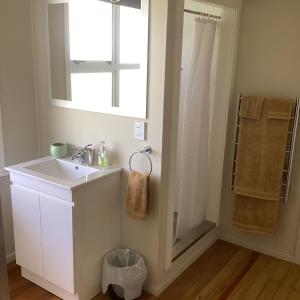 a bathroom with a sink and a shower at Robyn's Nest in Sentry Hill