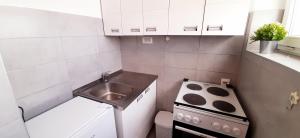A kitchen or kitchenette at Apartman Dostojevski