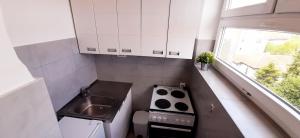 Kuchyň nebo kuchyňský kout v ubytování Apartman Dostojevski