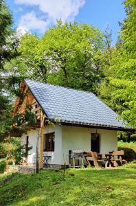 a cottage with a picnic table in front of it at Chatka Pod Trohańcem in Lutowiska