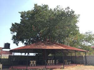 Imagem da galeria de Tamarind Tree Masinagudi em Masinagudi