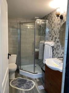 a bathroom with a shower and a toilet and a sink at PASTRAVARIA ALINA in Sîrbi +75 photos