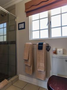 a bathroom with a shower and towels on the wall at Old Rearsby in Mooirivier