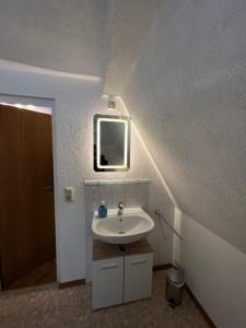 a bathroom with a sink and a mirror at Ferienhaus Rennsteighütte 2 in Brotterode
