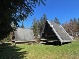 una pequeña casa con un techo inclinado en un campo en Ferienhaus Rennsteighütte 2, en Brotterode