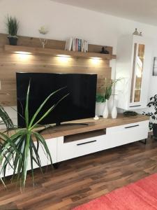 a large flat screen tv on a white entertainment center at Ferienwohnung Schmidbauer in Beilngries