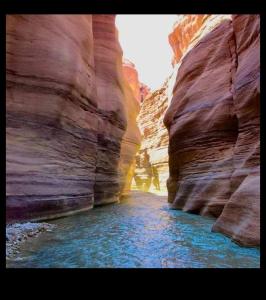 a narrow slot canyon with water in the middle at Dana WhiteDometrail Lodge in Dana