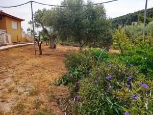 a garden with purple flowers and trees and a house at House Eleni in Kranidi