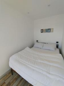 Una cama blanca con dos almohadas encima en una habitación. en Sanary Port et Plages Climatisé, en Six-Fours-les-Plages