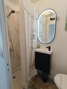 un baño con lavabo y espejo en Sanary Port et Plages Climatisé, en Six-Fours-les-Plages
