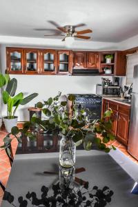 een keuken met een vaas met een plant op een tafel bij Nomad Casa en la mejor ubicación in Hermosillo