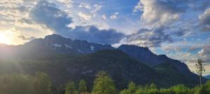 Naturlandskabet i nærheden af lejligheden