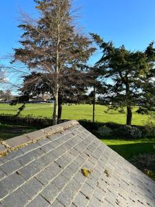 a tree sitting on top of a roof at Glen Lyon Lodge Bed and Breakfast in Nairn