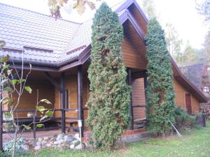 two trees with ivy growing on the side of a house at Dom na Jutrzenki in Augustów