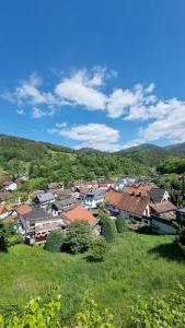 a view of a town with houses and trees at Ferienwohnungen Bühlertal in Bühlertal