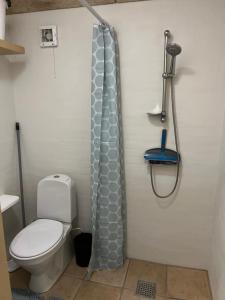 La salle de bains est pourvue de toilettes et d'un rideau de douche. dans l'établissement Skøn lejlighed til 4 personer, à Ansager