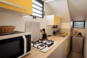 una cocina con estufa y microondas en La Baie des Mangues 3 - Ylang-Ylang - Nibou, en Saint-Paul