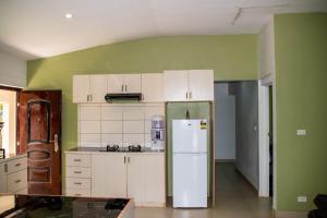 cocina con paredes verdes y nevera blanca en Fijian Homestay - 3 bedroom house en Nadi
