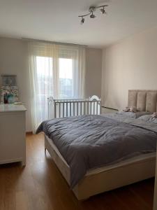 um quarto com uma cama grande e uma janela em Epicentar apartment em Loznica