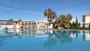a large swimming pool with palm trees and buildings at Vera Natura Apartamento Angela in Playas de Vera