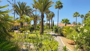 Κήπος έξω από το dunes canary deluxe