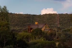 a house sitting in the middle of a forest at Kololo Game Reserve in Welgevonden Game Reserve