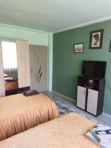 um quarto com 2 camas e uma televisão de ecrã plano em Rodica Apartment em Sibiu