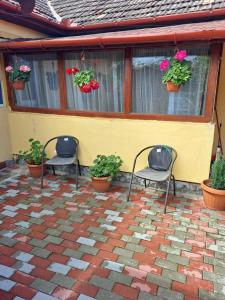 2 sillas y macetas en un patio en Casa Dana, en Haţeg
