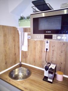 um balcão de cozinha com um lavatório e um micro-ondas em Gemütliche 1 Zimmer Ferienwohnung em Ludwigsburg