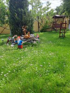 eine Gruppe von Spielzeugen, die im Gras auf einem Hof sitzen in der Unterkunft Casa Dana in Haţeg