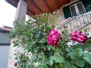 Vonkajšia záhrada v ubytovaní Villa Kortina