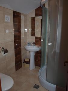 a bathroom with a sink and a shower at Pensiunea Elisabeta in Sovata