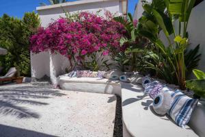a garden with pink flowers and plants at Kassandra Boutique Hotel in Oludeniz