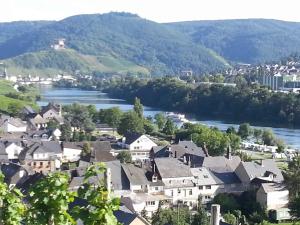 a view of a town with a river and houses at Weinhaus Hotel zum Josefshof in Graach