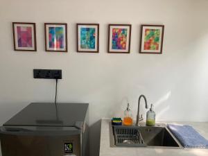 uma cozinha com um lavatório e quadros emoldurados na parede em Green Path em Colombo
