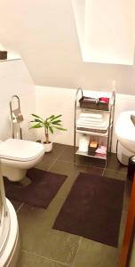 bagno con servizi igienici e pianta di Didi Apartment a Veľká Lomnica