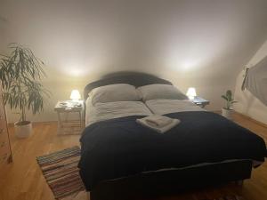 un grande letto in una camera da letto con due cuscini di Didi Apartment a Veľká Lomnica
